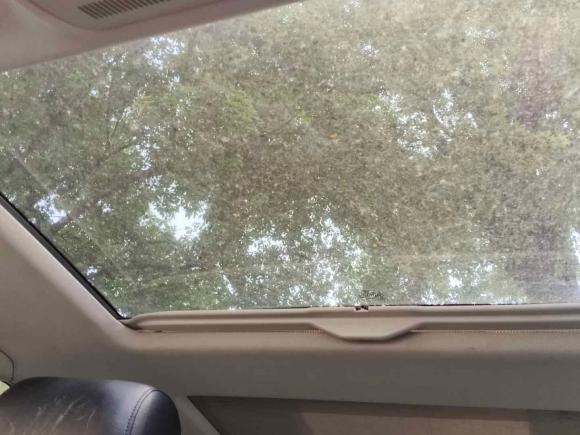 [成都·川A] 二手奥迪奥迪A32012款 Sportback 1.4T 豪华型