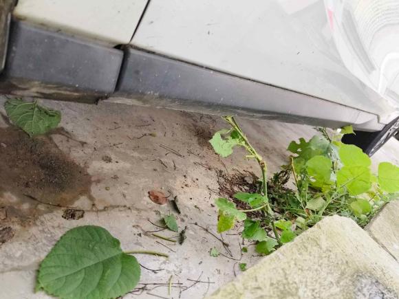 [上海·沪A] 二手上汽大通MAXUS上汽大通MAXUS EUNIQ 52020款 1.3T PLUG IN 精英版