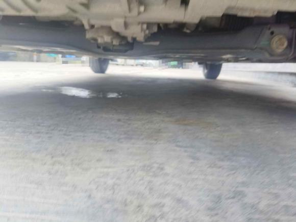 [温州·浙C] 二手欧拉欧拉黑猫2021款 301km 基础型