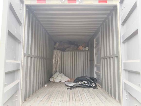 [佛山·粤E] 二手金杯金杯T32019款 1.5L 国VI标准型JKC1020DS6BL