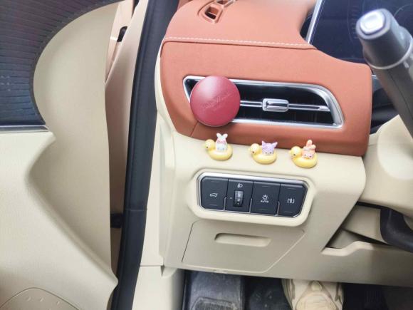 [上海·沪A] 二手欧拉欧拉好猫2023款 401km标准续航 尊荣型 磷酸铁锂