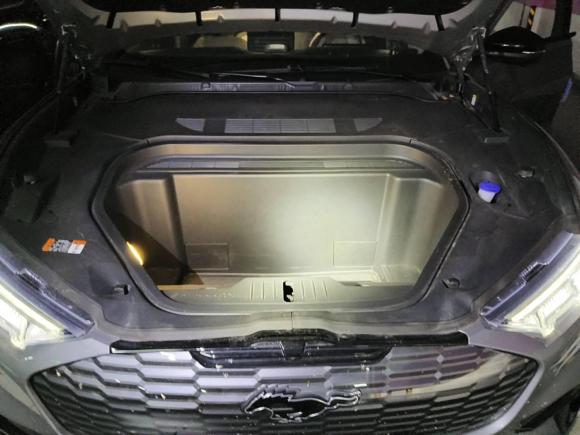 [上海·沪A] 二手福特福特电马2021款 无疆后驱豪华版(长续航)