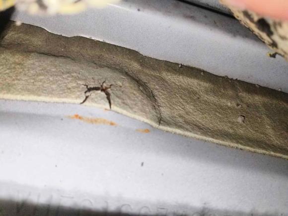 [成都·川A] 二手本田思域2016款 220TURBO CVT豪华版