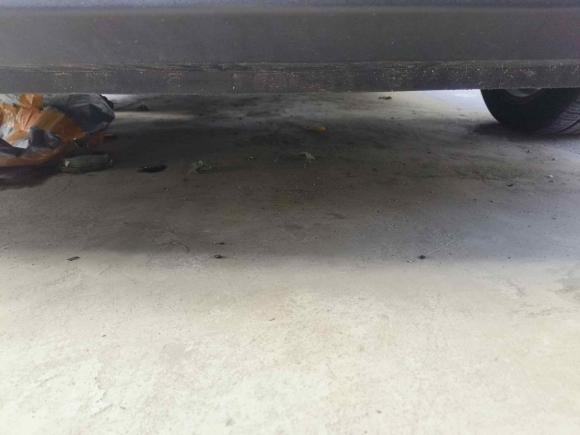 [苏州·苏U] 二手现代伊兰特2022款 1.5L CVT LUX尊贵版