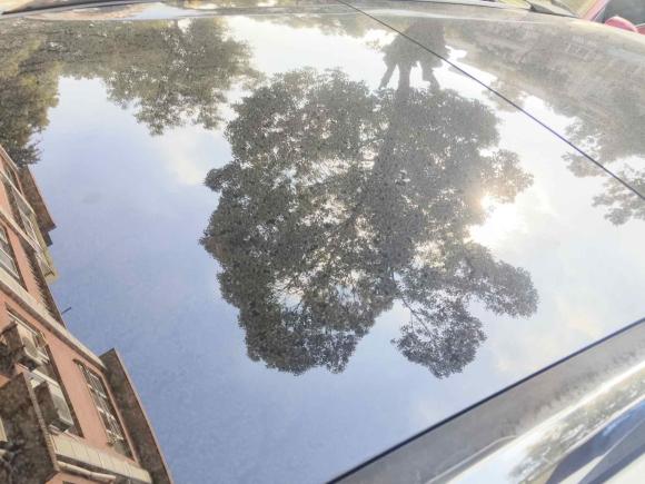 [常州·苏D] 二手起亚智跑2014款 2.0L 自动两驱版DLX