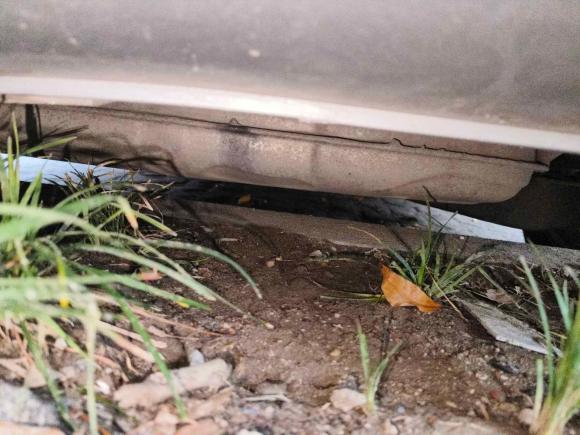 [上海·黑P] 二手大众途安2011款 1.4T DSG智雅版5座