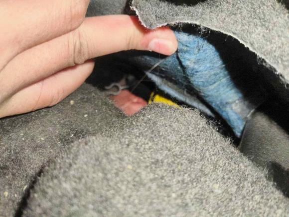 [济南·鲁A] 二手雪佛兰探界者2018款 535T 自动驭界版