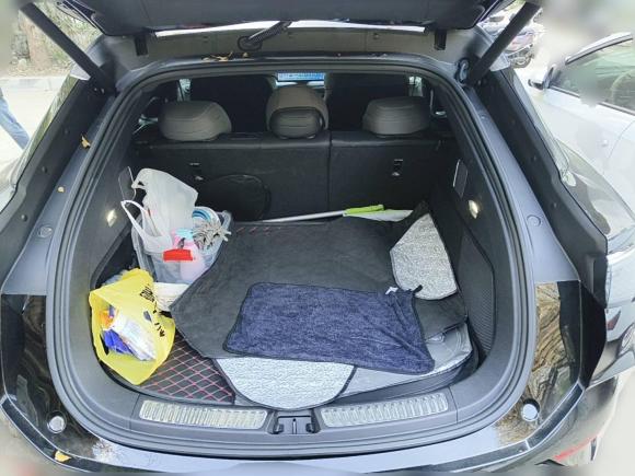 [上海·沪A] 二手比亚迪海狮07 EV2024款 610长续航版