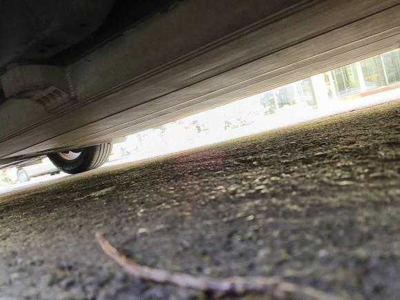 [杭州·浙A] 二手比亚迪比亚迪e22019款 标准续航版 智·舒适型