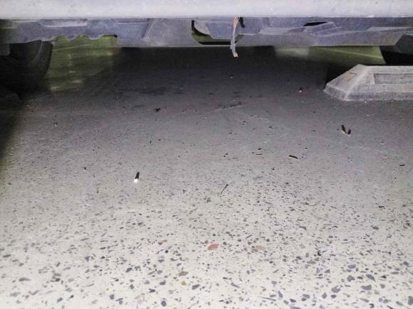 [苏州·鲁A] 二手丰田YARiS L 致炫2022款 致炫X 1.5L CVT领先PLUS版