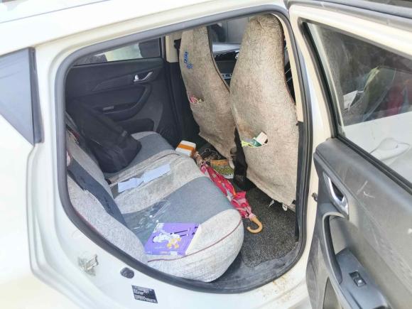 [宁波·浙B] 二手长安长安奔奔E-Star2020款 心悦版 三元锂