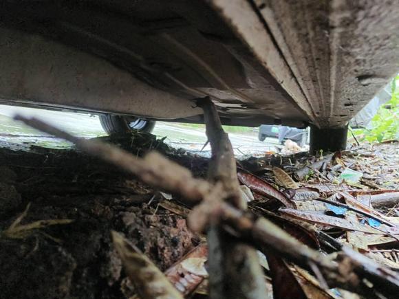 [深圳·粤B] 二手雪佛兰科沃兹2019款 320 自动欣享版