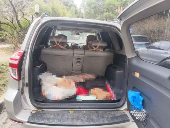 [上海·沪A] 二手丰田RAV4荣放2009款 2.4L 自动豪华版