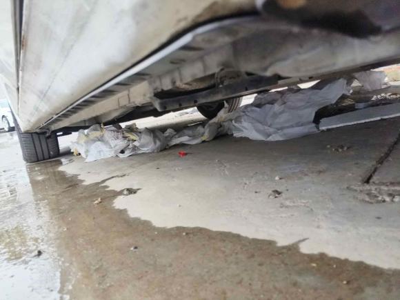 [上海·浙F] 二手丰田卡罗拉2014款 1.8L CVT GLX-i