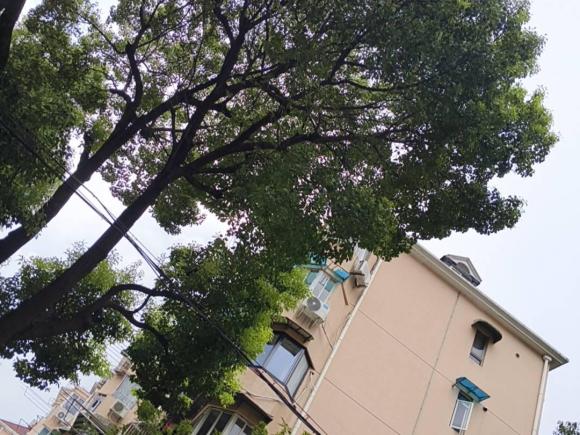 [上海·赣E] 二手标致标致3082016款 1.6L 自动豪华版