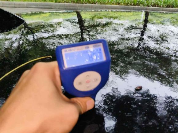 [广州·粤L] 二手本田本田CR-V2016款 2.0L 两驱都市版