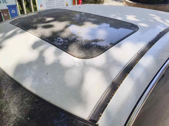 [上海·沪G] 二手本田思域2016款 220TURBO CVT豪华版