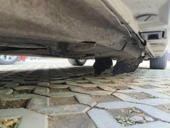 [济南·鲁A] 二手奥迪奥迪A6L2014款 TFSI 标准型