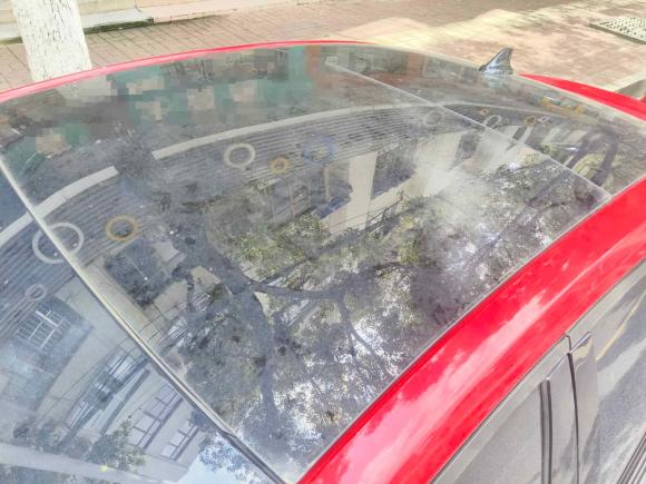 [合肥·皖G] 二手福特福克斯2020款 三厢 EcoBoost 180 自动ST Line