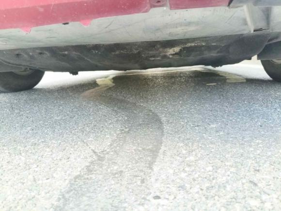 [合肥·皖A] 二手福特福克斯2012款 两厢 1.6L 自动舒适型