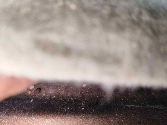 [广州·粤A] 二手别克别克GL82020款 陆上公务舱 652T 舒适型