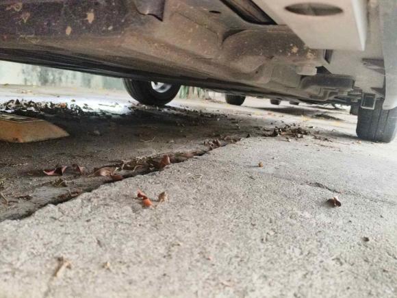 [深圳·粤B] 二手奇瑞新能源小蚂蚁2022款 改款 甜粉款 半糖版 三元锂 30.6kWh 30kW 301km