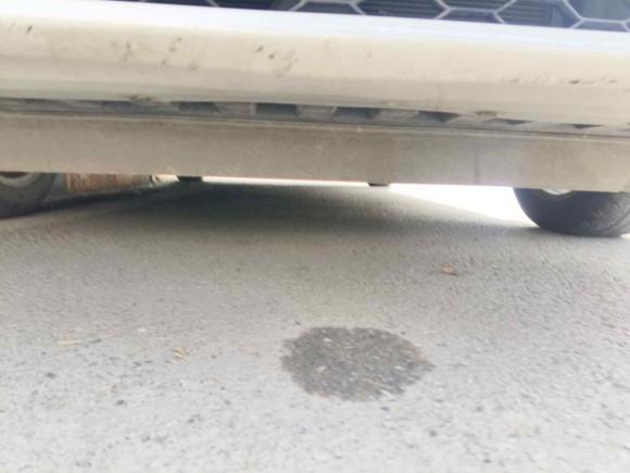 [西安·陕A] 二手日产轩逸2022款 经典 1.6XL CVT豪华版