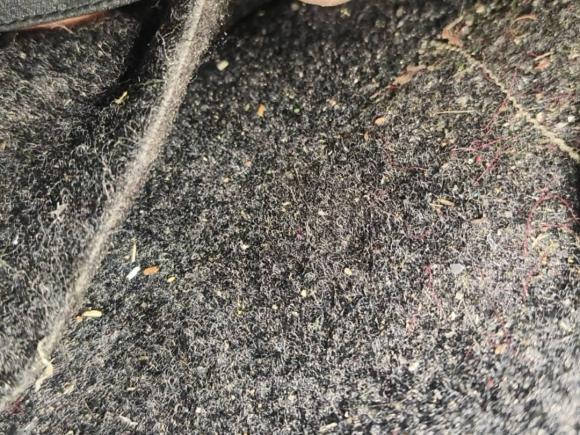 [武汉·鄂A] 二手北京越野北京越野BJ402016款 2.0T 手动四驱尊贵版