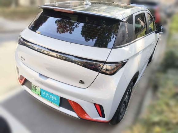 [嘉兴·浙F] 二手比亚迪海豚2021款 405km 时尚版