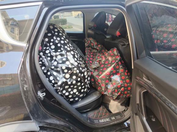 [无锡·苏B] 二手哈弗哈弗H42018款 红标 1.5GDIT DCT风尚型