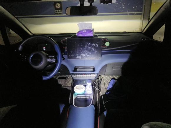 [上海·沪A] 二手比亚迪海豚2021款 405km 自由版