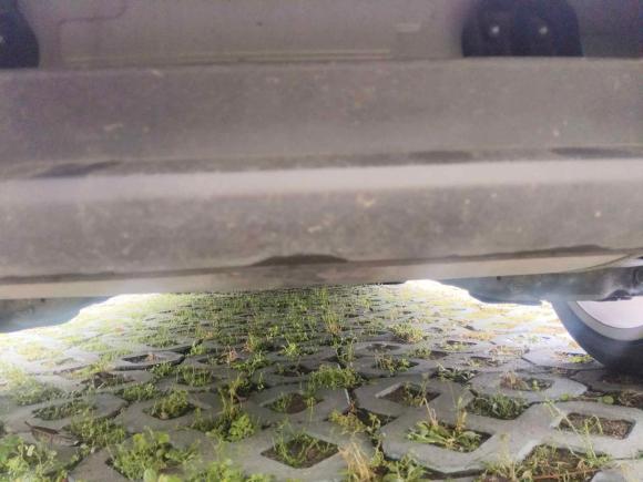 [嘉兴·浙F] 二手奥迪奥迪A32020款 Sportback 35 TFSI 时尚型 国VI