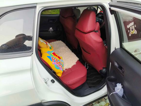 [上海·苏U] 二手丰田卡罗拉锐放2023款 双擎 2.0L 精英版