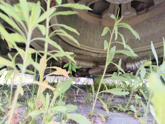 [台州·浙J] 二手现代胜达2013款 2.4L 自动两驱智能型