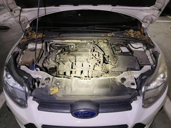 [武汉·鄂A] 二手福特福克斯2012款 三厢 1.6L 自动舒适型