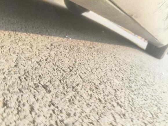 [上海·沪A] 二手特斯拉Model 32021款 改款 标准续航后驱升级版 3D1