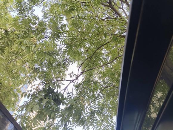 [杭州·浙A] 二手别克君越2018款 20T 领先型