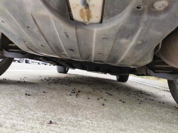 [宁波·浙J] 二手本田本田XR-V2017款 1.8L EXi CVT舒适版