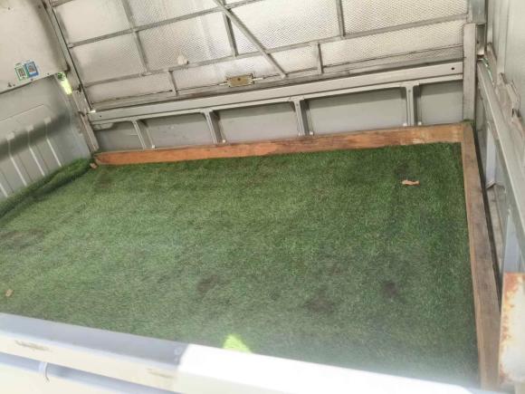 [温州·浙C] 二手五菱汽车五菱荣光新卡2023款 1.5L双排基本型LAR