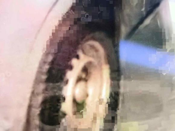 [宁波·浙B] 二手五菱汽车五菱征程经典2015款 1.8L舒适型LJ479QE2