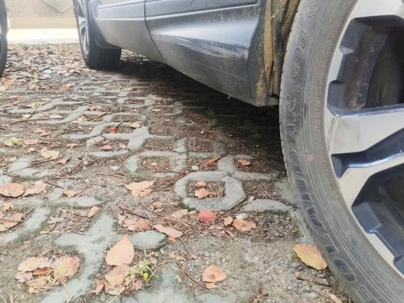 [上海·鄂L] 二手本田本田CR-V2021款 240TURBO CVT两驱舒适版