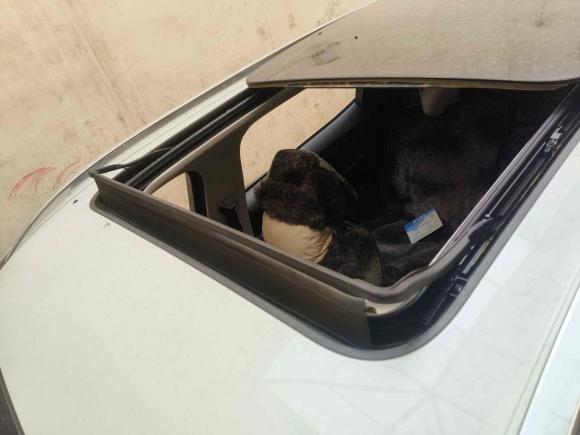 [武汉·鄂A] 二手哈弗哈弗H62018款 红标 1.5T 自动超豪型