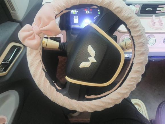 [嘉兴·浙F] 二手五菱汽车宏光MINIEV2021款 马卡龙时尚款 磷酸铁锂