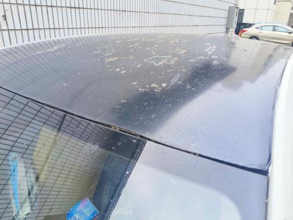 [芜湖·苏E] 二手斯柯达明锐2017款 1.6L 自动创行版