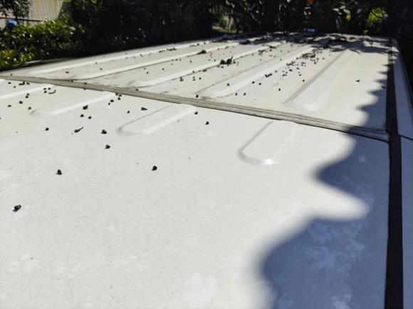 [武汉·鄂A] 二手上汽大通MAXUS大通EV302021款 纯电智能物流专家短轴宁德时代