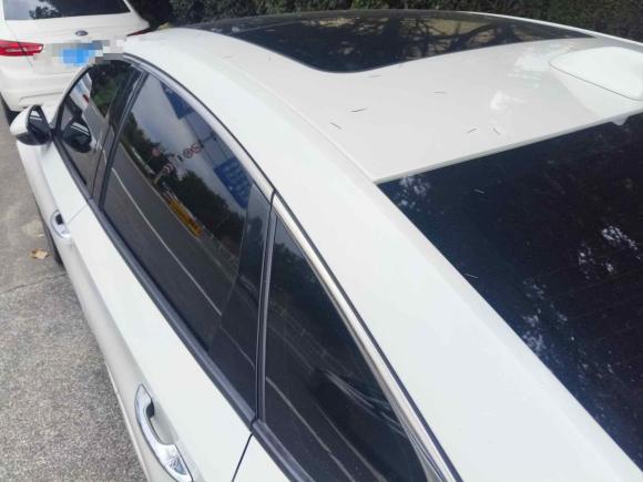 [青岛·鲁B] 二手本田英仕派2019款 260TURBO 精悦版 国VI