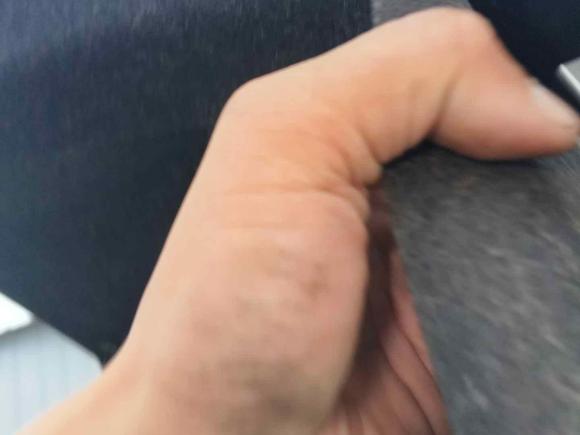 [广州·粤L] 二手日产轩逸2012款 经典 1.6XE 自动舒适版