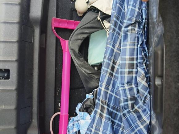 [上海·沪A] 二手宝马宝马5系新能源2019款 530Le 豪华套装