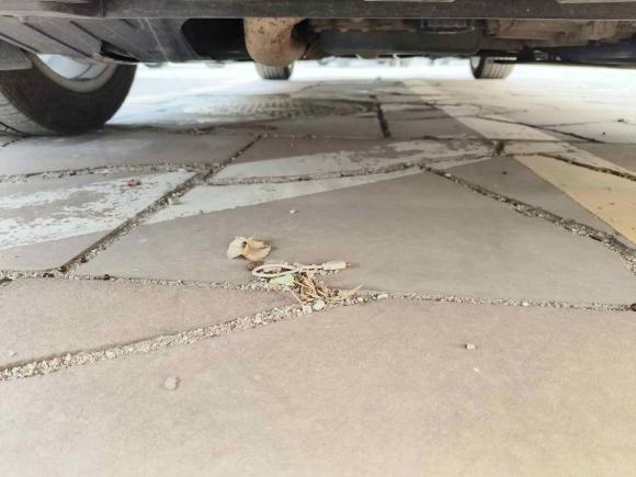 [济南·鲁A] 二手别克君越2018款 28T 精英型