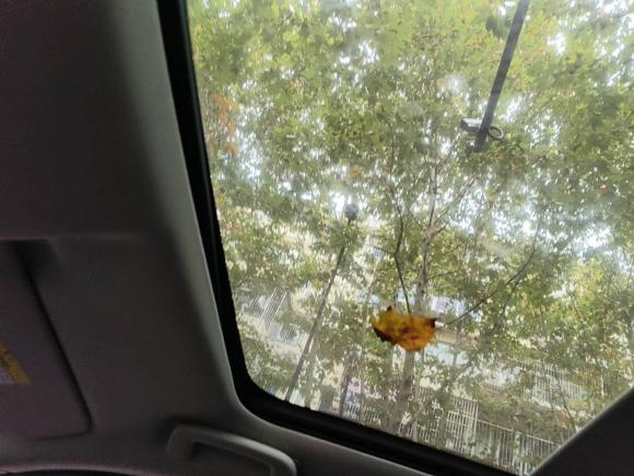 [杭州·浙A] 二手路虎发现神行2016款 2.0T SE